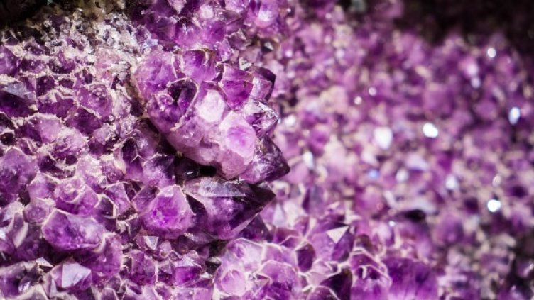 Снимка: Pixabay