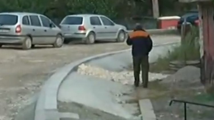 Снимка: Кадър Нова тв