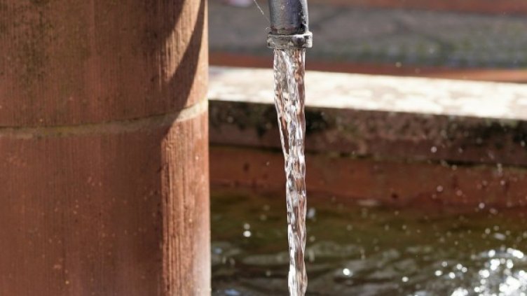 Снимка: Pixabay