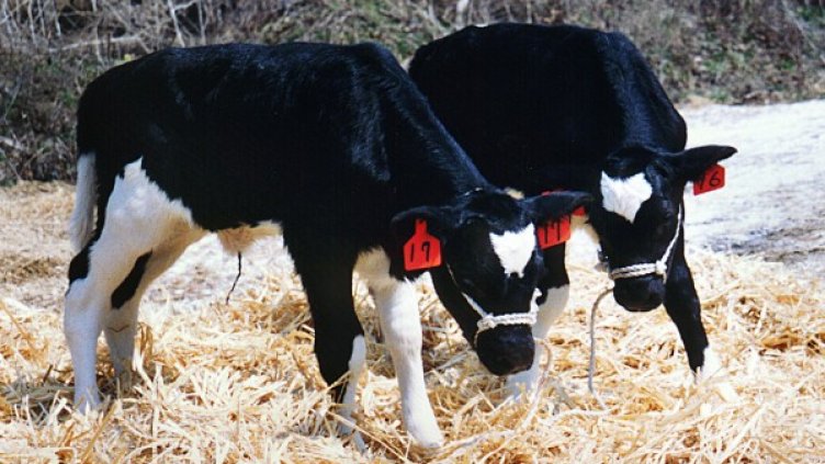 Снимка: архив, Reuters