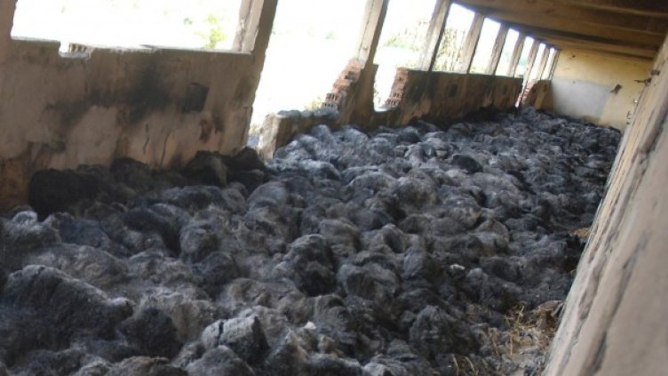 Снимка: Булфото