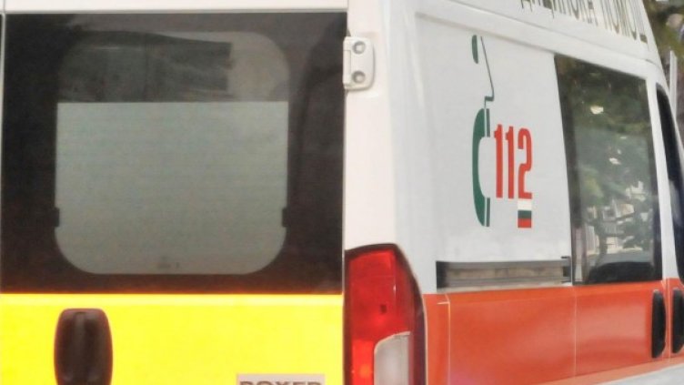 Снимка: BulFoto архив