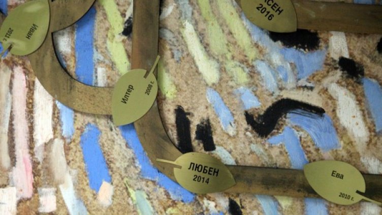 Снимка: ВМА