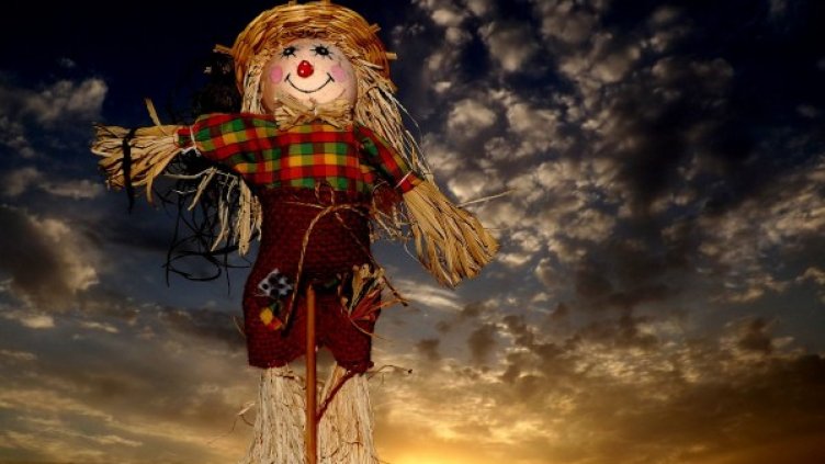 Снимка: Pixabay