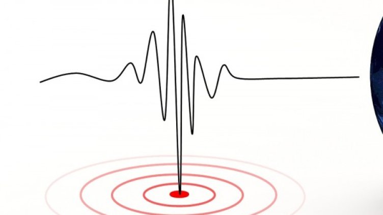 Снимка: Pixabay