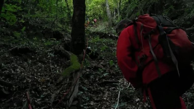 Снимка: ПСС