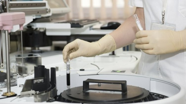 Снимка: Pixabay