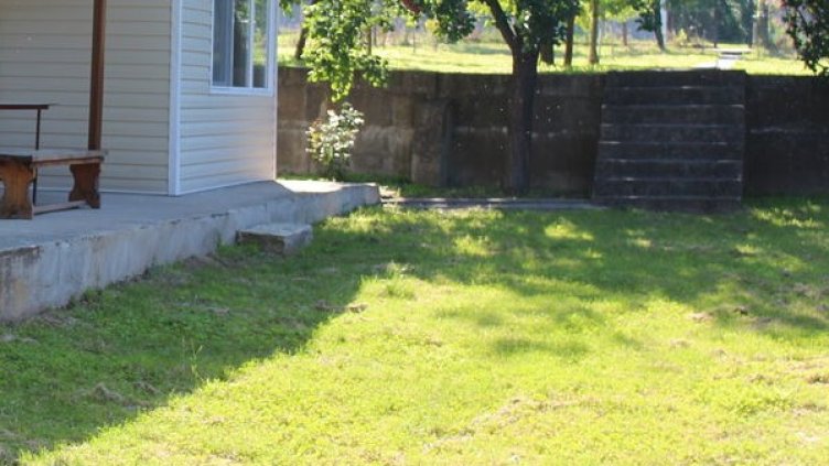 Архив: Булфото