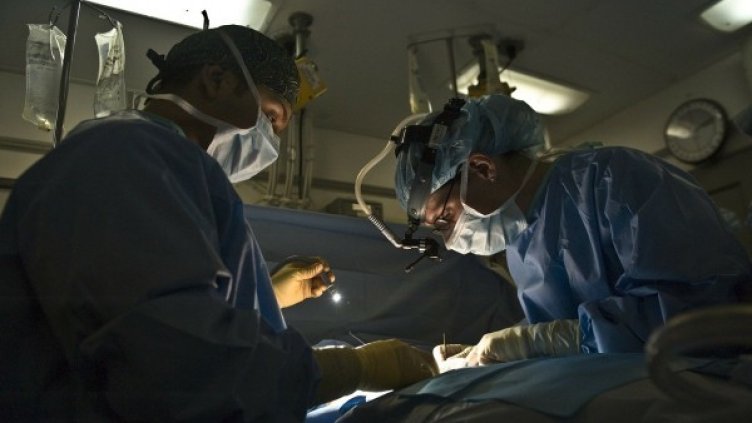 Снимка: Pixabay