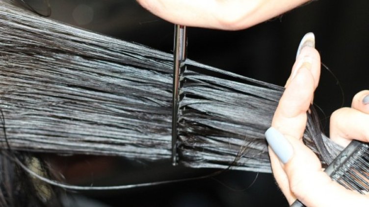 Снимка: Pixabay