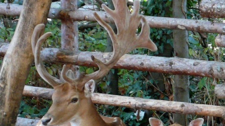 Снимка: Булфото, архив