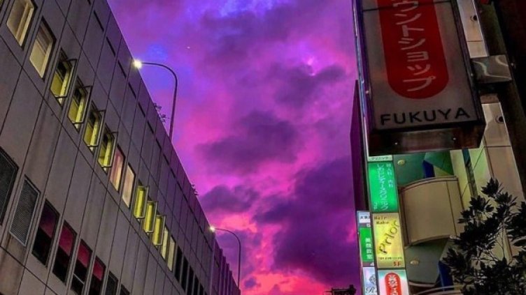 Снимка: Twitter