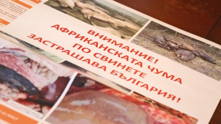 Снимка: архив "Булфото"