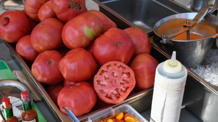 Снимка: BulFoto архив