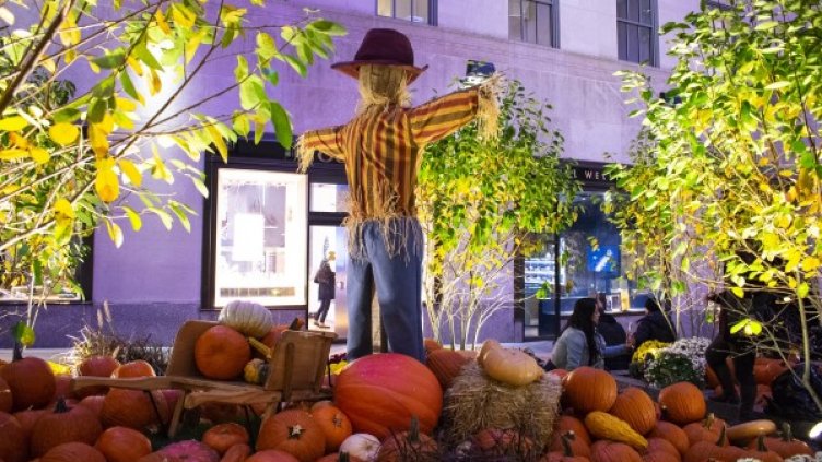 Снимка: Pixabay