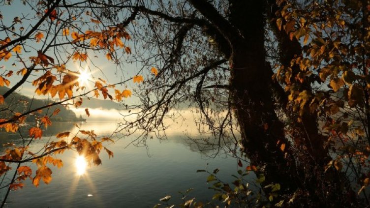 Снимка: Pixabay