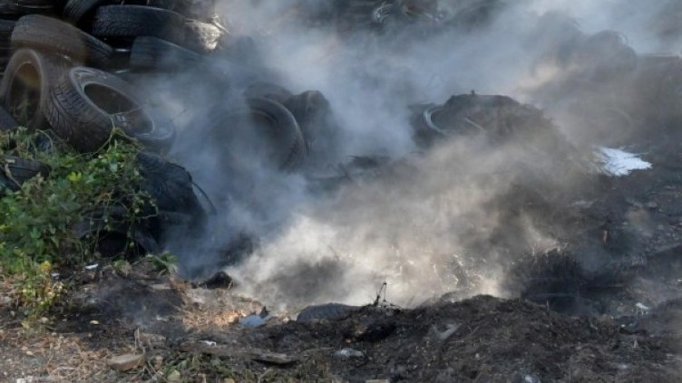 Архив: Булфото