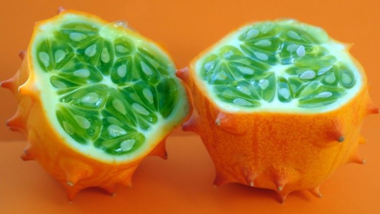 Снимка: pixabay