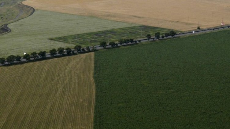 Архив: Булфото