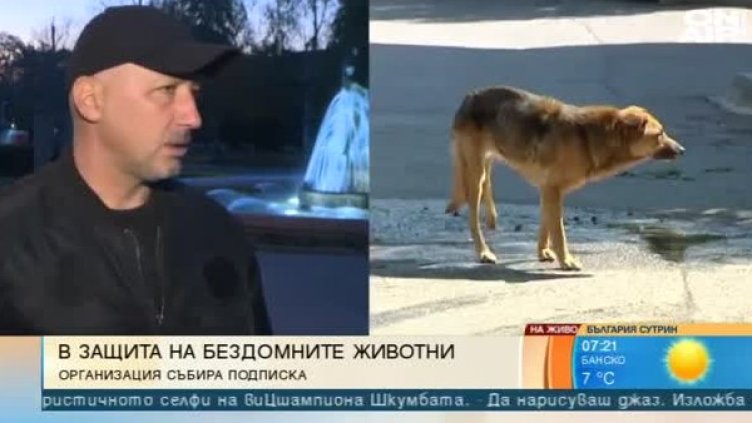 С подписка срещу жестокостта към бездомните животни 