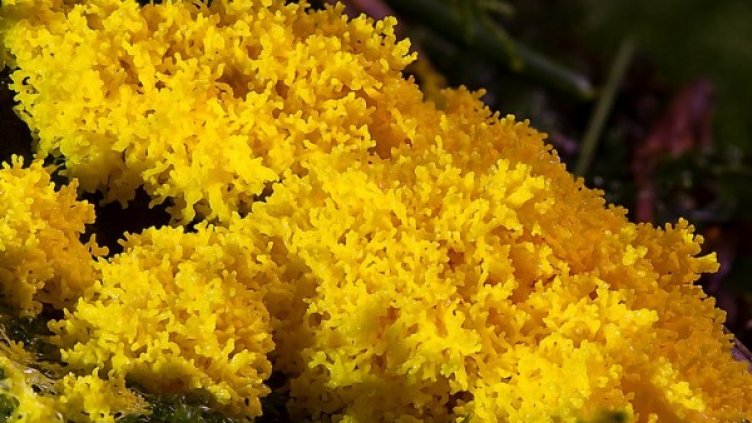 Снимка: Pixabay илюстративна