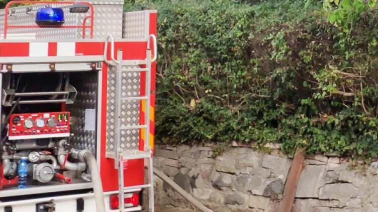 Снимка: Булфото, архив