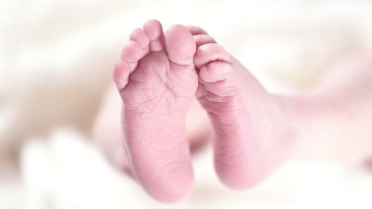 Снимка: Pixabay