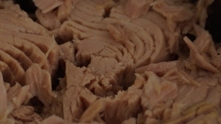 Снимка: Pixabay