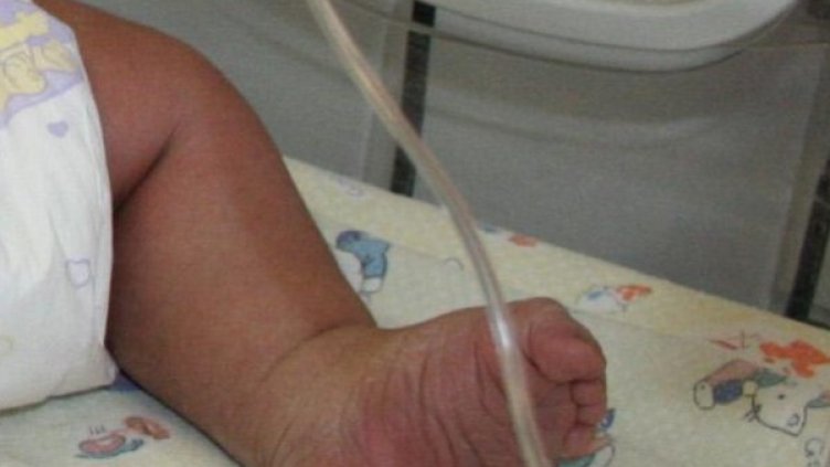 Снимка: архив, Булфото