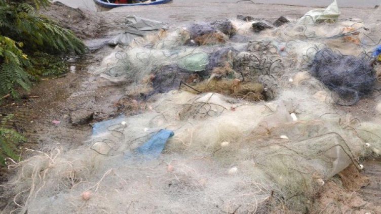 Снимка: Булфото, архив