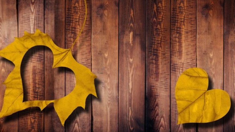 Снимка: Pixabay