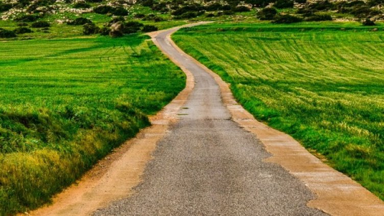 Снимка: Pixabay