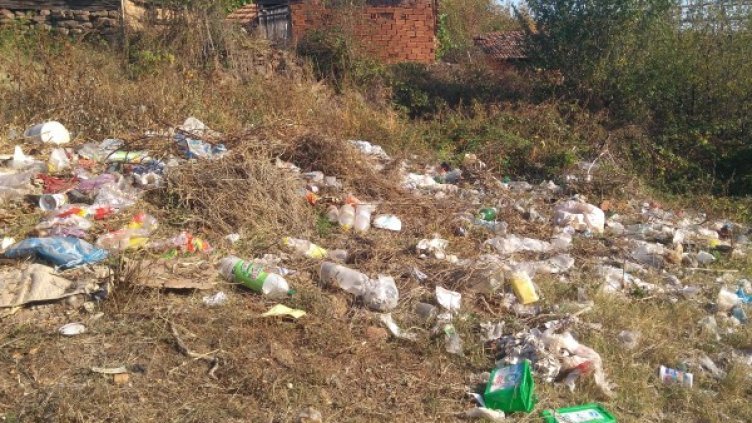 Снимка: Helpbook