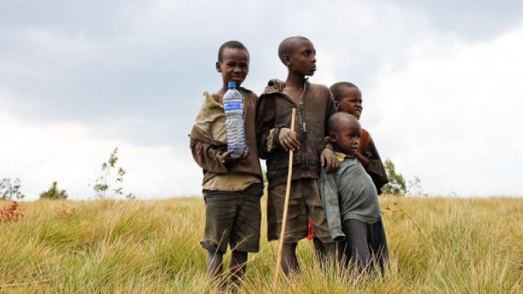 Снимка: Pixabay