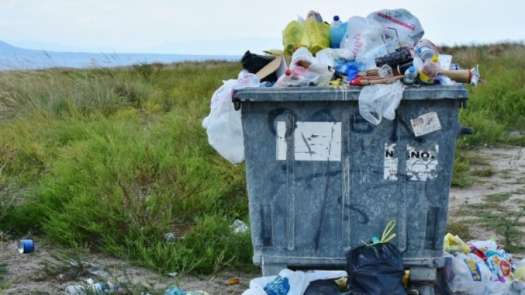 Снимка: Pixabay