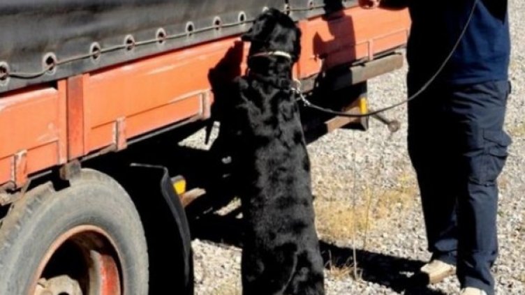 Снимка: Агенция "Митници"