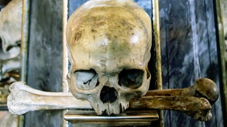 Снимка: Pixabay