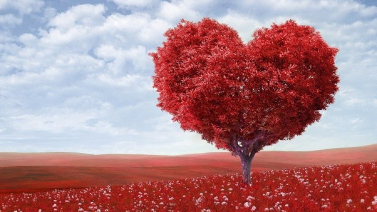 Снимка: Pixabay