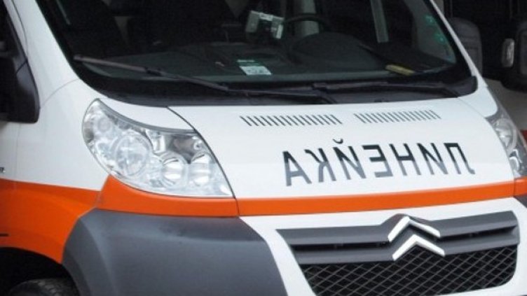 Снимка: архив, Булфото