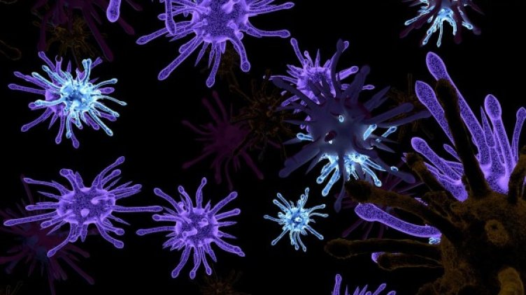 Снимка: Pixabay