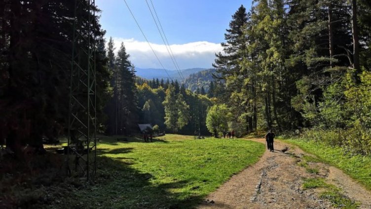 Ралица Лазарова