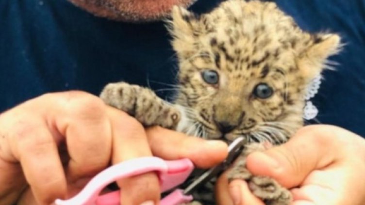 Снимка: Instagram