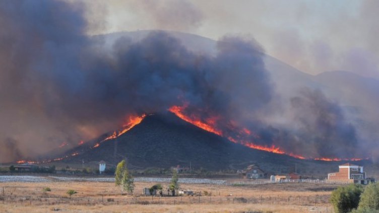 Снимка: Reuters