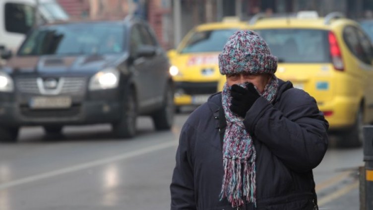 Снимка: Димитър Кьосемарлиев