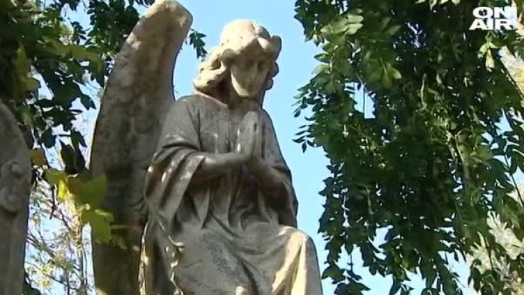 Преди 1 ноември: Акция за почистване на плочите на Будителите