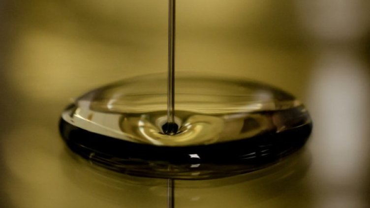 Снимка: Pixabay