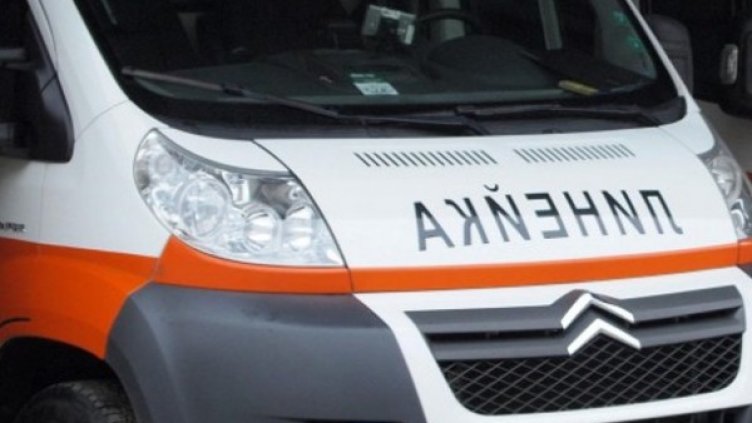 Снимка: архив, Булфото