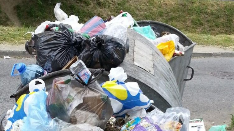 Снимка: архив, Булфото