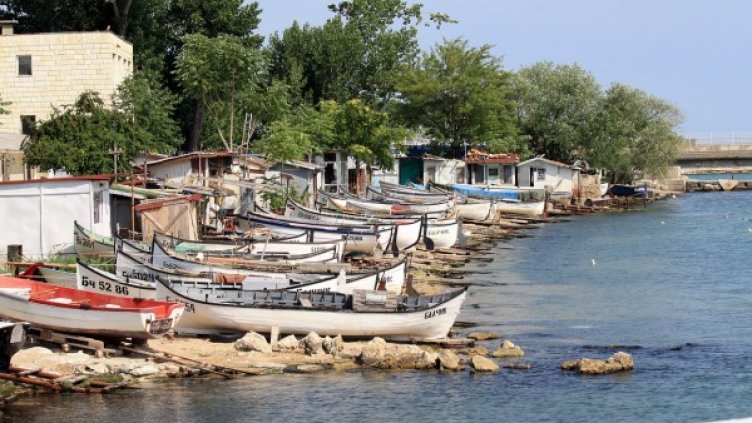 Снимка: Pixabay