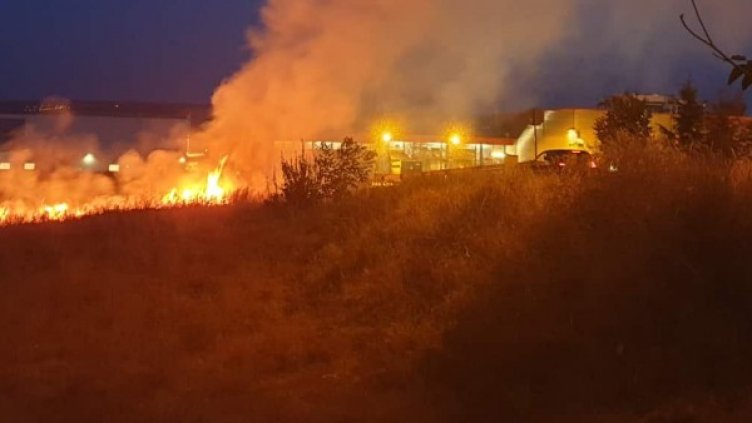 Снимка: Булфото, архив